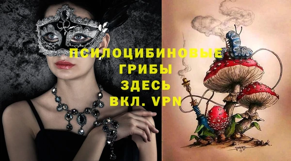 крисы Волоколамск