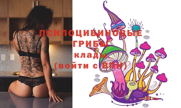 крисы Волоколамск