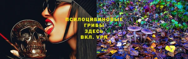 сатива Володарск
