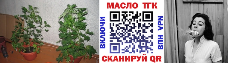 Купить закладки  Сухиничи  ТГК Wax 
